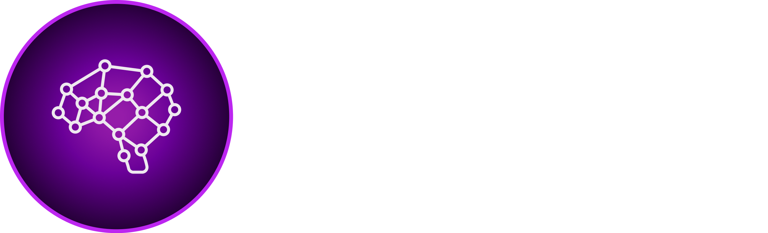 Logo PaaLLM